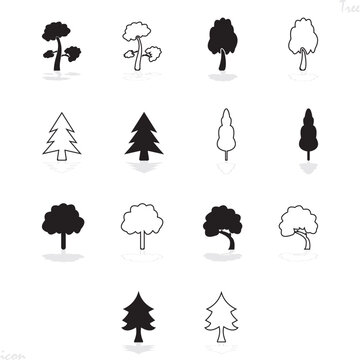 trees, Leaves or leafs and tree are improtant for human survive'Whispers of Nature: Captivating Leaves and Majestic Trees"
