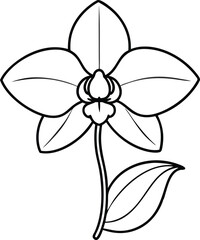 Vibrant Orchid Flower Vector Illustration for Elegant Designs and Creative Projects
