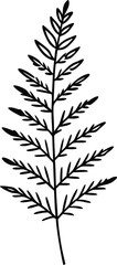 Delicate Fern Leaf Vector Illustration Capturing Nature’s Beauty in Design
