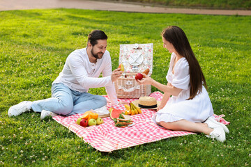 Happy couple having picnic on green grass outdoors