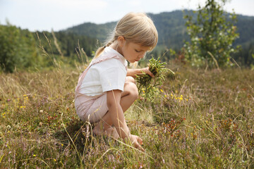 Fototapeta premium Cute little girl picking flowers at meadow. Child enjoying beautiful nature