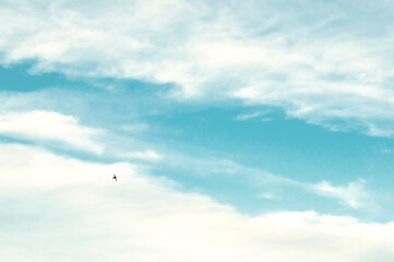 Cloudy sky background. Blue cloudy sky landscape with picturesque clouds and a flying bird