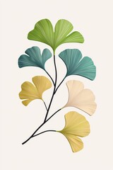Ginkgo Tree Fan-shaped Leaves Isolated on White Background