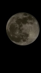 Fototapeta premium moon