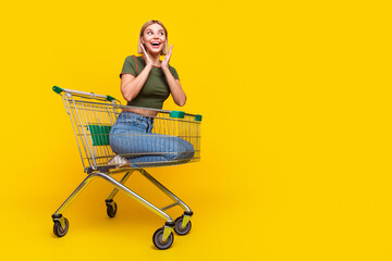 Full size photo of ecstatic girl dressed khaki crop top sit in shopping cart look at promo empty...