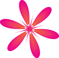 flower on white background