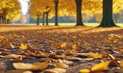 Golden leaves cover the ground in a park on a sunny autumn day