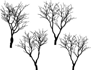 Vector sketch illustration silhouette design of tree plant full of branches without leaves