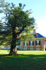 Historic Building and Old Locust Tree from Civil War Era in Virginia