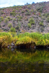Salt River Recreation Area Arizona