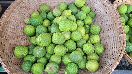 Close up photo of unripe kaffir lime or makrut lime fruit (Citrus hystrix) that still young and green. It has many uses, can make food, produce herbal medicine, health products.