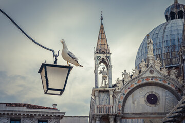 Piazza San Marco, Venedig