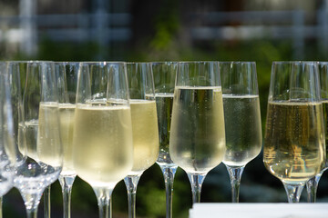 a tray of champagne glasses with champagne in the middle.