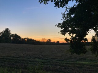 Obraz premium sunset over a meadow