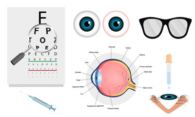 Ophthalmology oculist set vision correction eye anatomy with exam table 