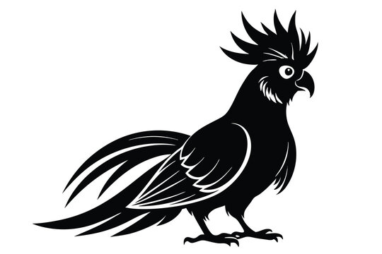 recommend clip art: Cockatoo silhouette full body C.eps