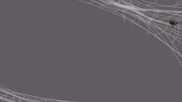 Web of Fear: Spooky Spider Frame Animation for Halloween Projects on a transparent background, alpha channel