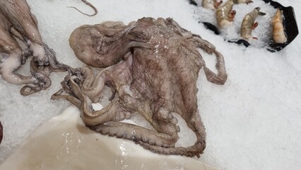 Large octopus with long tentacles at the center, surrounded by shrimp and fish slices.