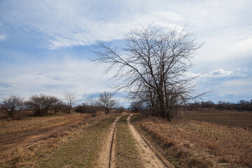 Rural Dirt Road Leading Through Bare Landscape