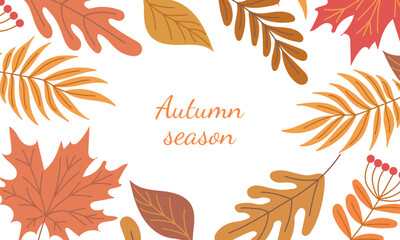 Beautiful autumn frame made of falling leaves in yellow, orange and brown colors on white background. Hand drawn vector flat colored illustration. Oak leaf, maple, red berries, foliage, banner