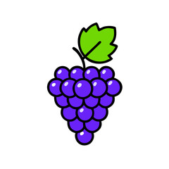 Vector grapes. grapes icon, vector fruit illustration, nature wine stock illustration