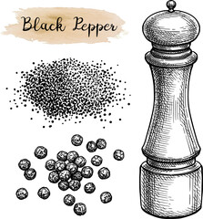Black pepper and spice mill
