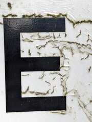 Handwriting Letter In Distressed State Sign Font E Typography