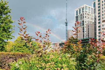 rainbow in London