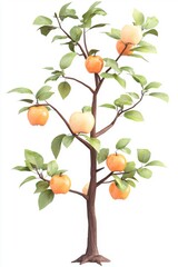 Isolated Apple Tree with Fruit on White Background
