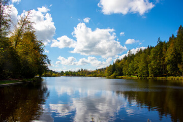 Obraz premium Reflections on a Wilderness Lake