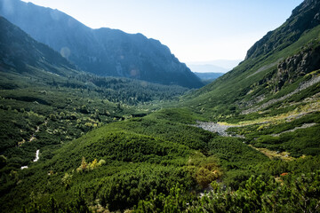 Fototapeta premium Mengusovska valley, High Tatras mountains, Slovakia