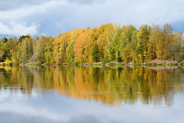 Fototapeta premium Autumnal landscape with yellowish trees and calm water of a river