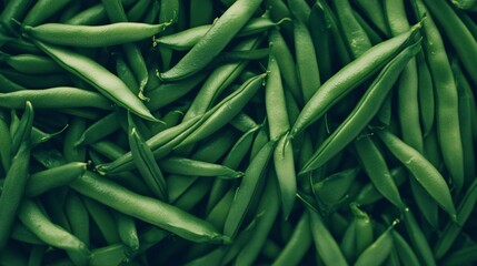 Fototapeta premium Fresh green pea pods, textured background