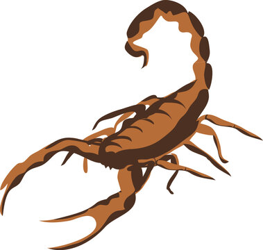 alacran which is translated as Scorpiones. Brown scorpio with stinger. 