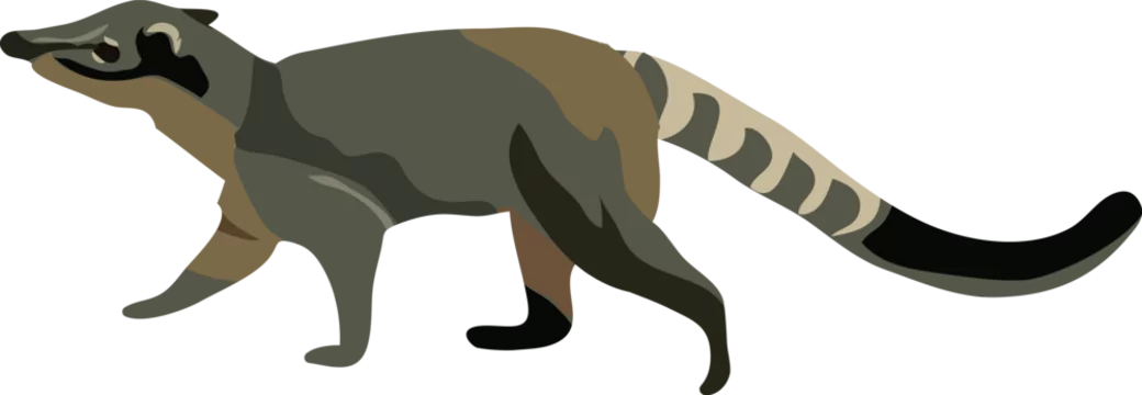 tejon animal which is translated as badger. walking on a ground. illustrated in cartoonish style