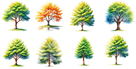 collection of trees with no background. Collage of watercolor style png trees in green, yellow, orange colors.
