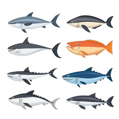 Various cartoon fish, white isolate background