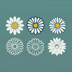 Set of Daisy Flowers