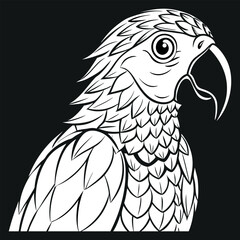 Parot design pancil art vector , illustration and artwork