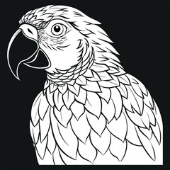 Parot design pancil art vector , illustration and artwork