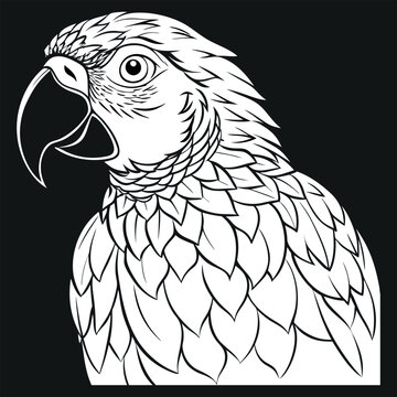 Parot design pancil art vector , illustration and artwork