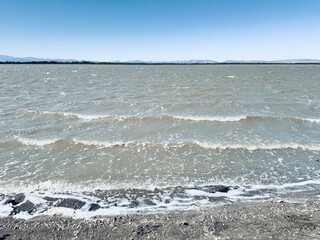 View on the shore of the lake of Leucate on a windy day.