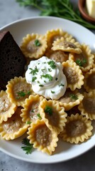 Russian Pelmeni Dumplings with Sour Cream and Fresh Dill in a Traditional Style