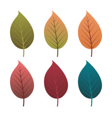 Fototapeta premium Set of autumn leaves from different color. Simple green, yellow, red, orange fall leaf set for pattern, banner, sticker, and autumn card. Flat vector illustration isolated on white background