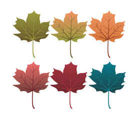 Set of autumn leaves from different color. Simple green, yellow, red, orange fall leaf set for pattern, banner, sticker, and autumn card. Flat vector illustration isolated on white background