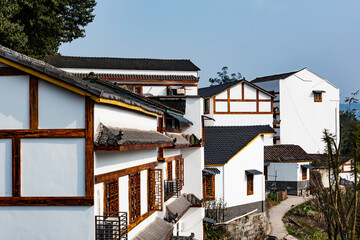 Traditional Chinese style country house