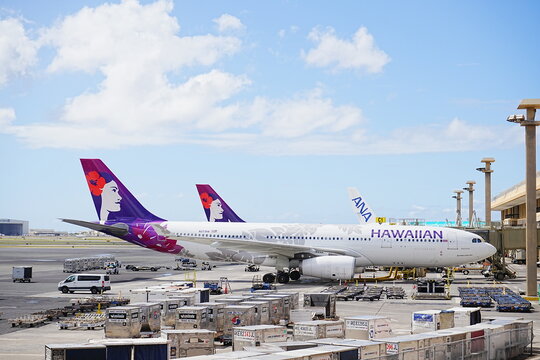 キャンバス パネル絵 (Honolulu Airport)ホノルル空港 Daniel K. Inouye International Airport | Statehood Mosaic