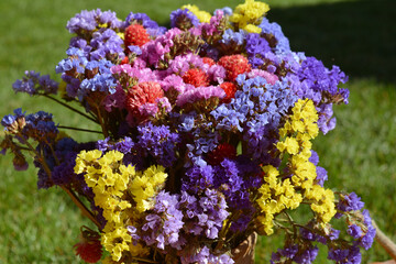 Ceramic vase with dried flowers. 
beautiful natural background