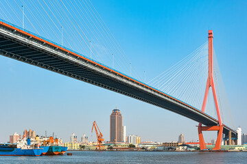 Yangpu Bridge, a landmark cable-stayed bridge connecting Puxi and Pudong areas of Shanghai