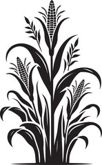 Corn plant silhouette vector illustration isolated on a white background